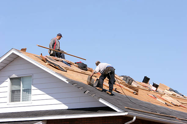 Best Metal Roofing Installation  in Kyle, SD