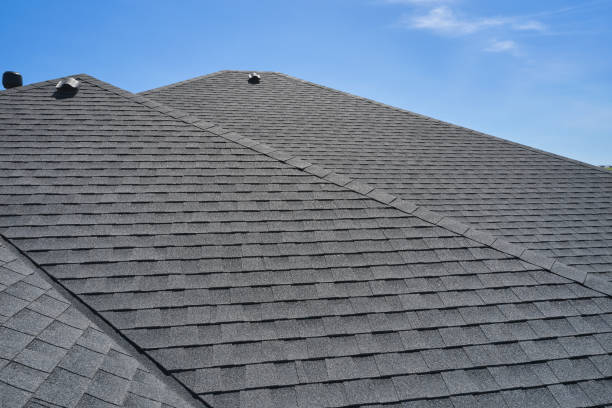 Best Roof Coating Services  in Kyle, SD